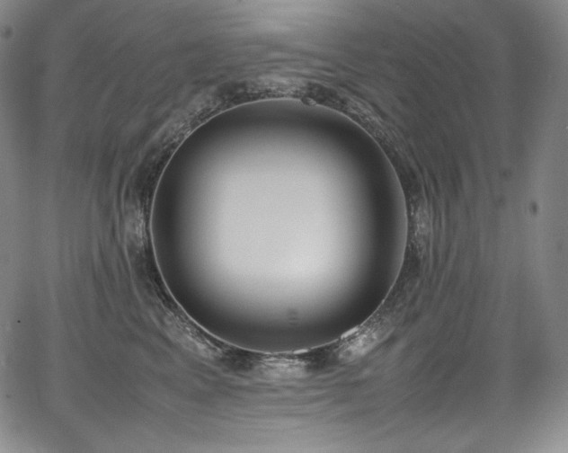 X0000067950617200604131437