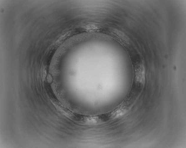 X0000067950618200604131437