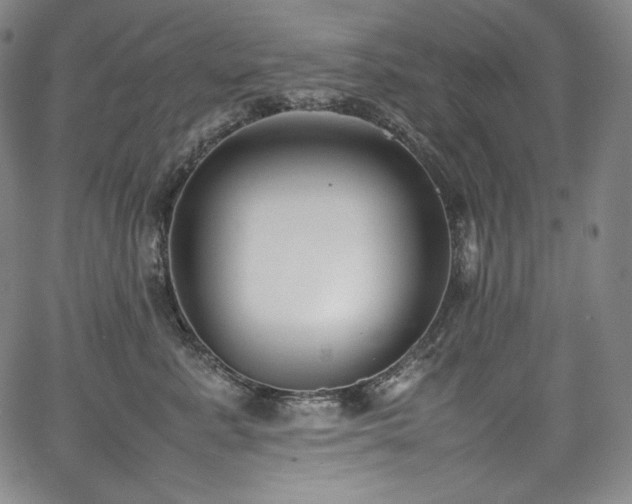 X0000067950619200604131437