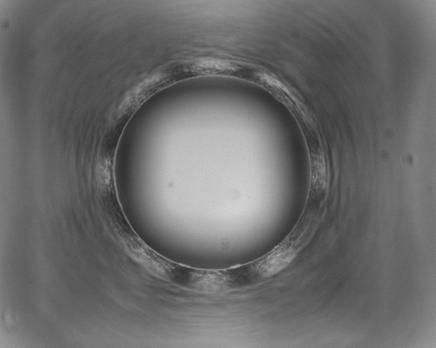 X0000067950621200604131437