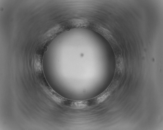 X0000067950622200604131437