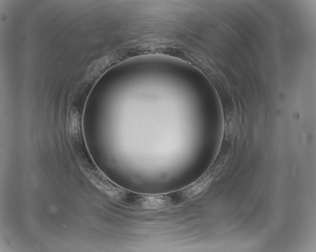 X0000067950623200604131437