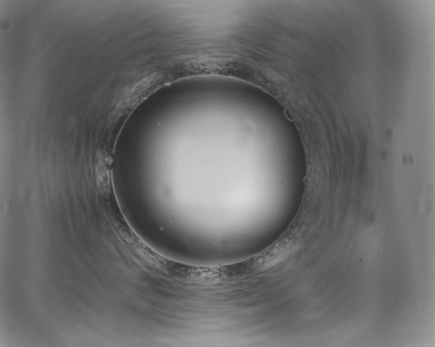 X0000067950624200604131437