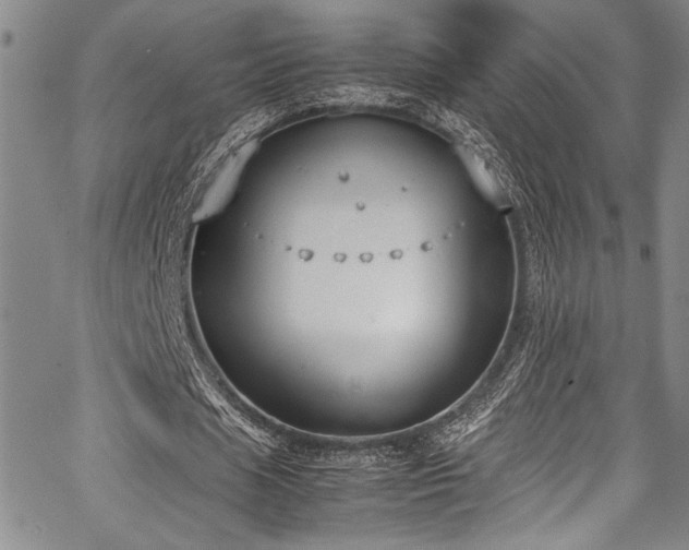 X0000067950625200604131436