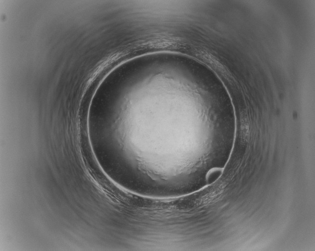 X0000067950626200604131436