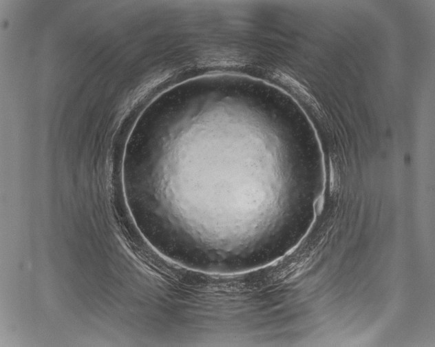 X0000067950627200604131436