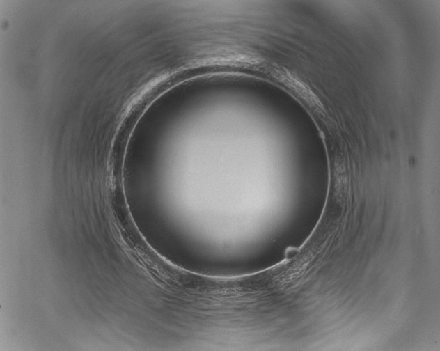 X0000067950628200604131436