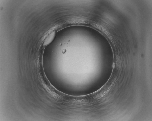 X0000067950629200604131436