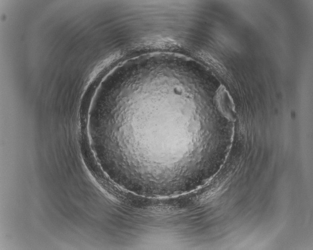 X0000067950630200604131436