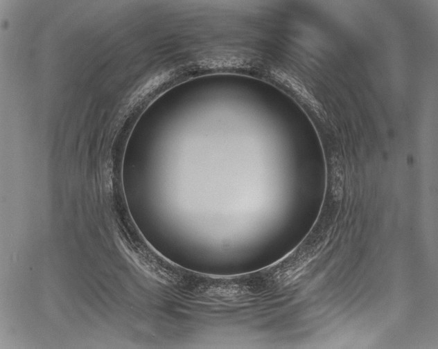 X0000067950631200604131436