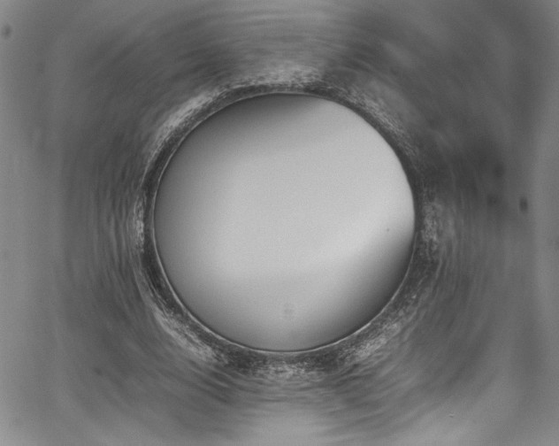 X0000067950632200604131436