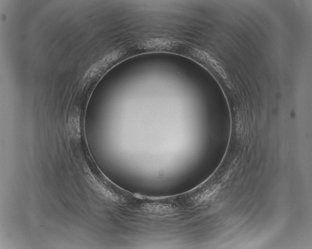 X0000067950633200604131436