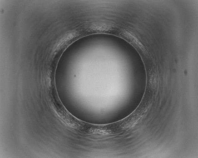 X0000067950635200604131436