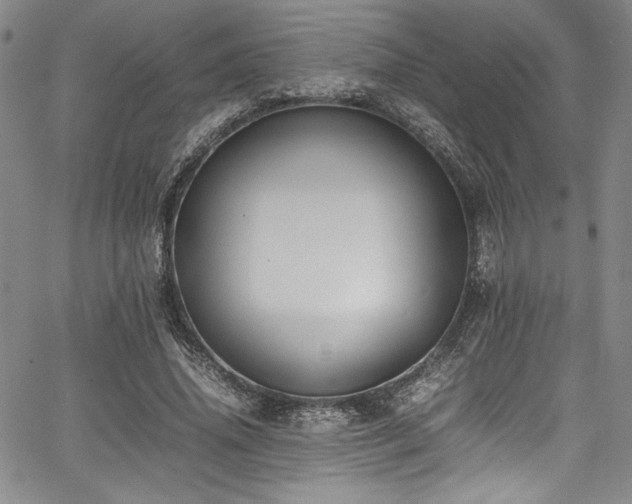 X0000067950636200604131436