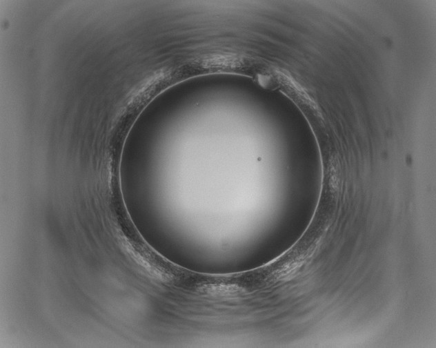 X0000067950637200604131436