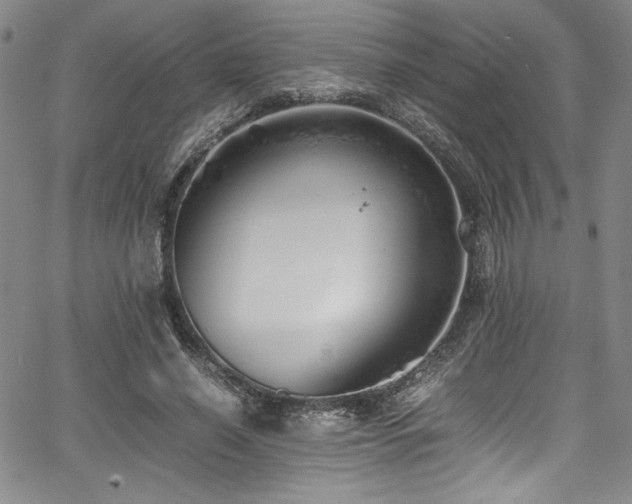 X0000067950638200604131436