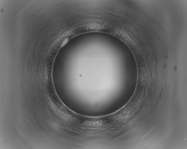 X0000067950639200604131436