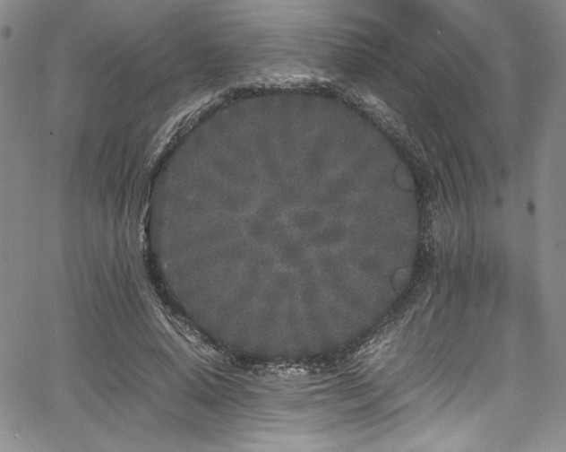 X0000067950640200604131436