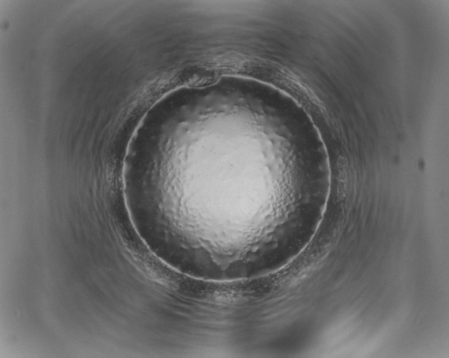 X0000067950641200604131436