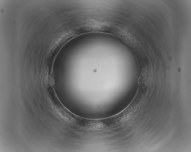 X0000067950642200604131436