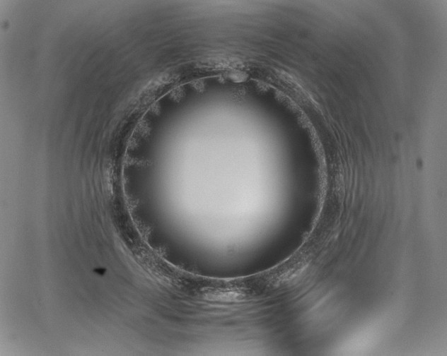 X0000067950643200604131436