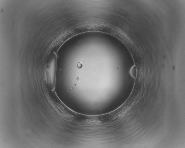 X0000067950644200604131436