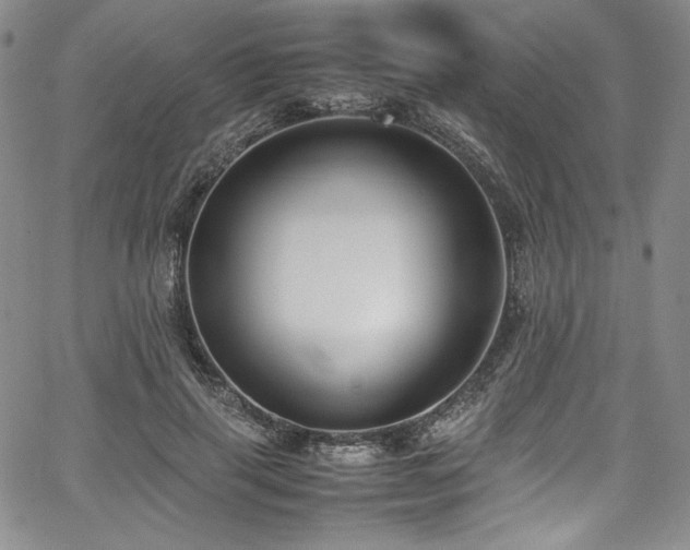 X0000067950645200604131436