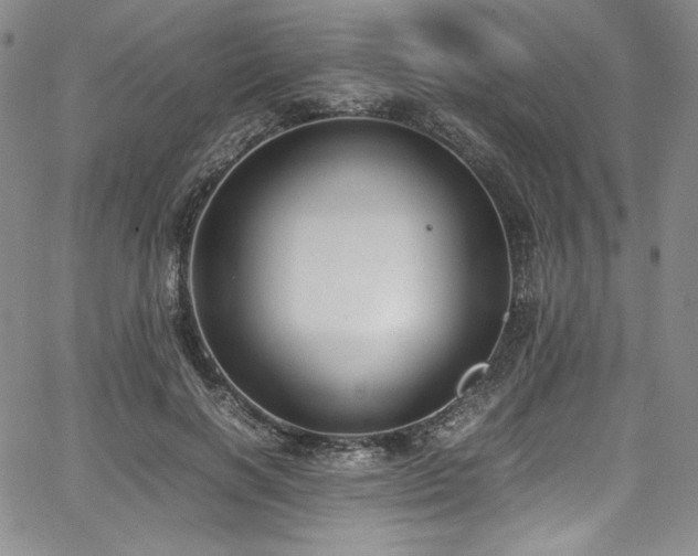 X0000067950646200604131436