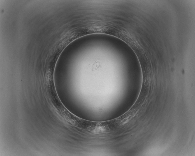 X0000067950647200604131436