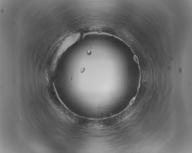 X0000067950648200604131436