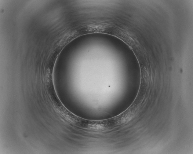 X0000067950649200604131436