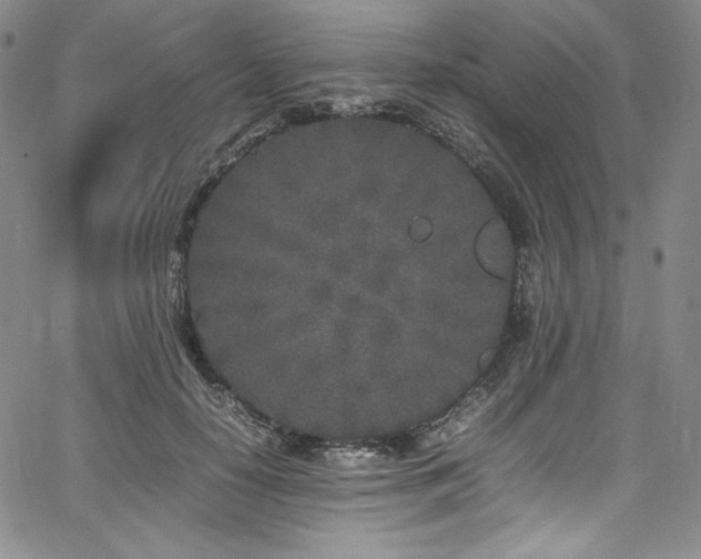 X0000067950650200604131436