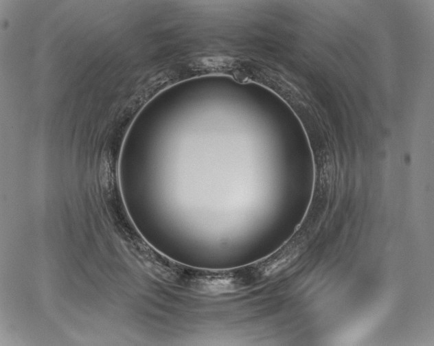 X0000067950651200604131437