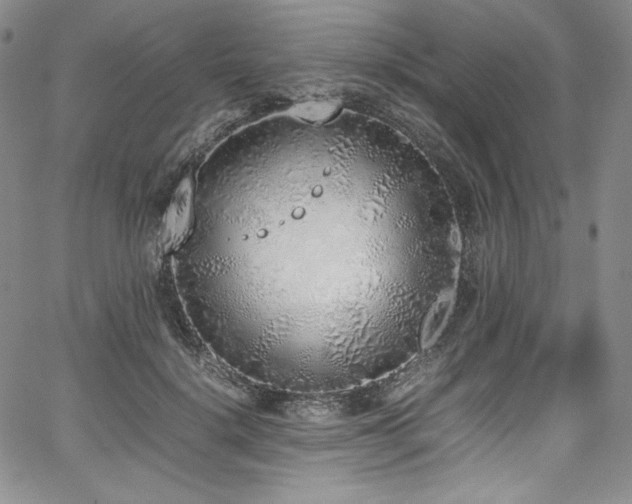 X0000067950652200604131437