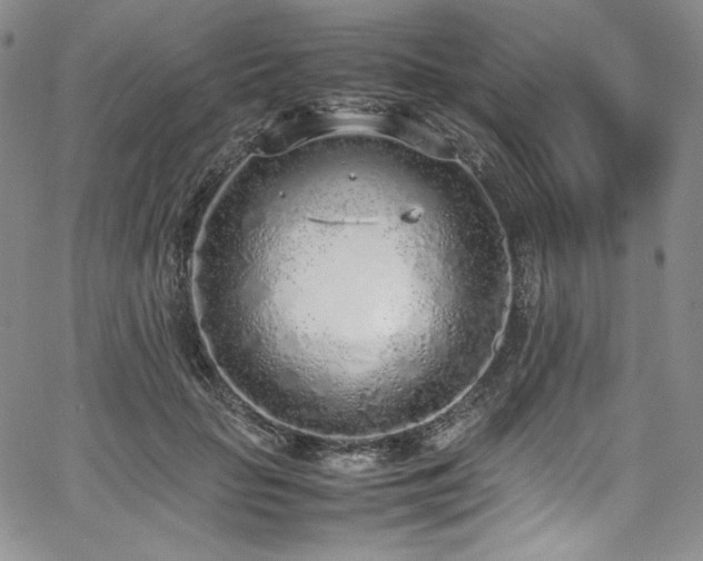 X0000067950653200604131437