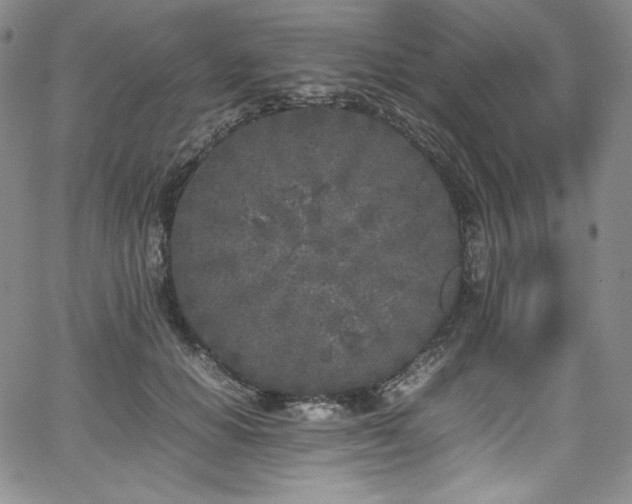 X0000067950654200604131437