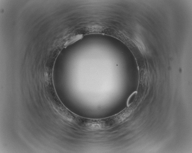 X0000067950655200604131437