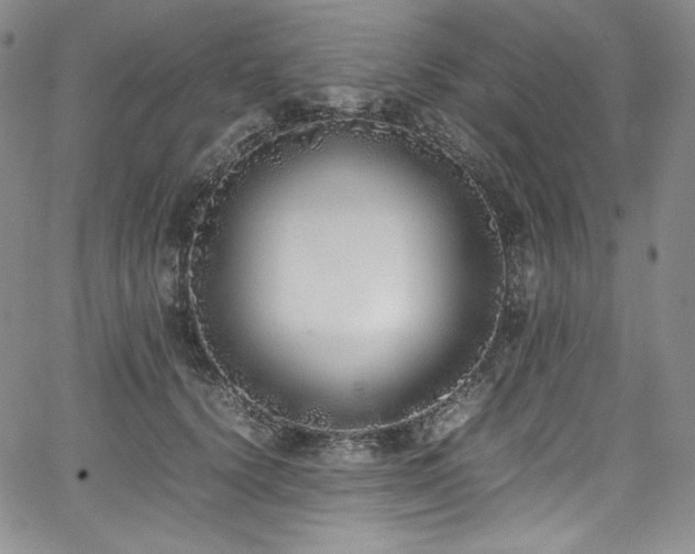 X0000067950656200604131437