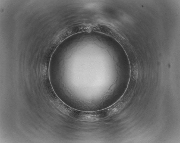 X0000067950657200604131437