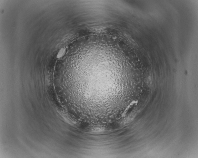 X0000067950658200604131437