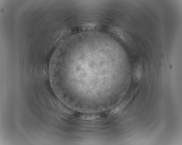 X0000067950661200604131437