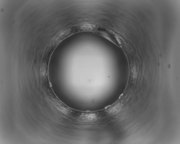 X0000067950665200604131437