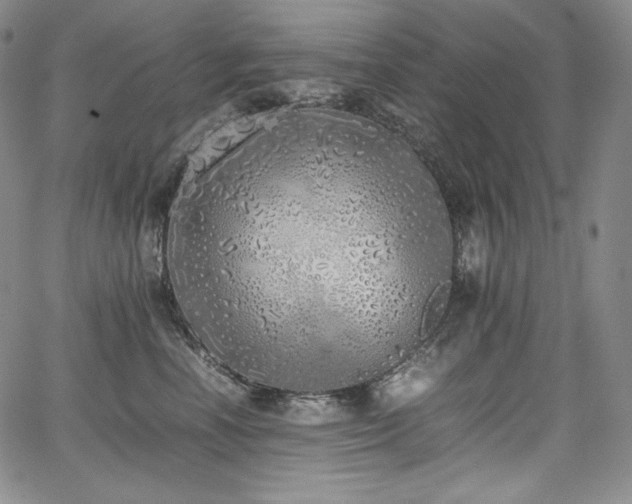 X0000067950666200604131437