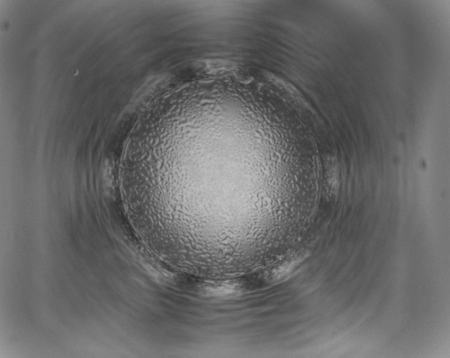 X0000067950667200604131437