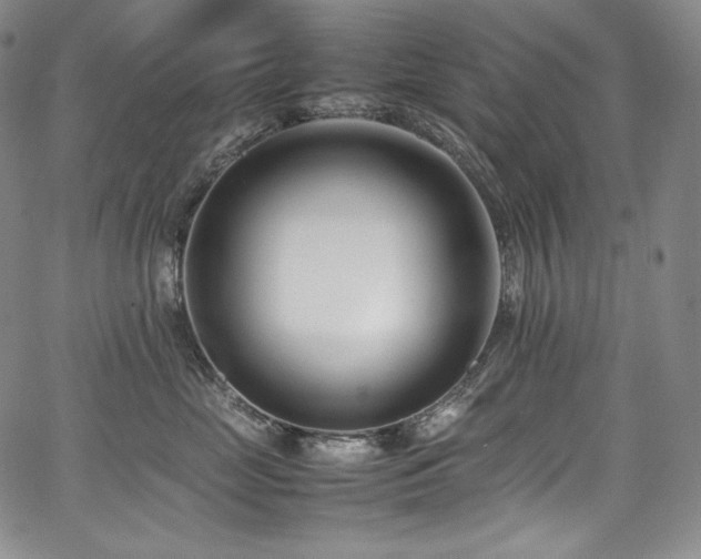 X0000067950669200604131437