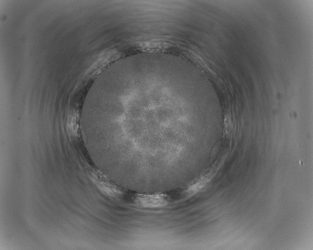 X0000067950671200604131437