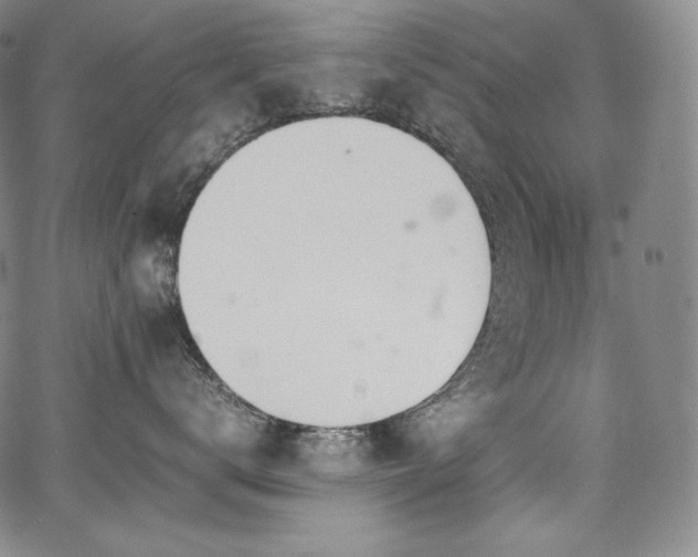 X0000067950672200604131437