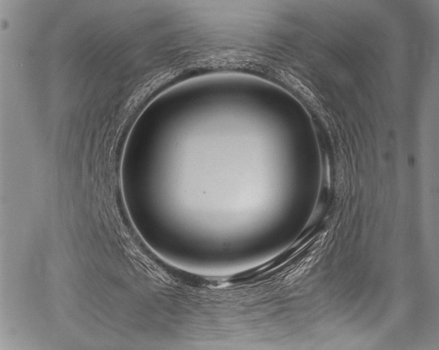 X0000067950673200604131436