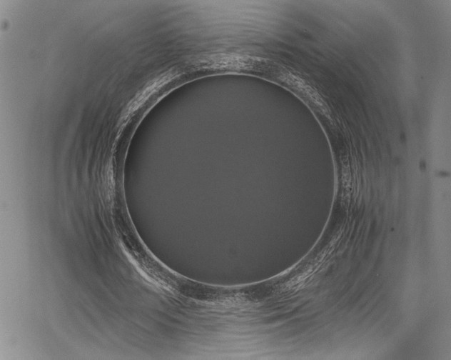 X0000067950674200604131436