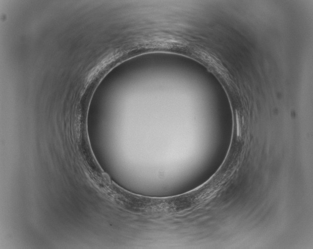 X0000067950675200604131436